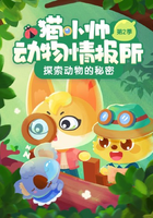 猫小帅动物情报所第二季