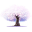 樱之空动漫